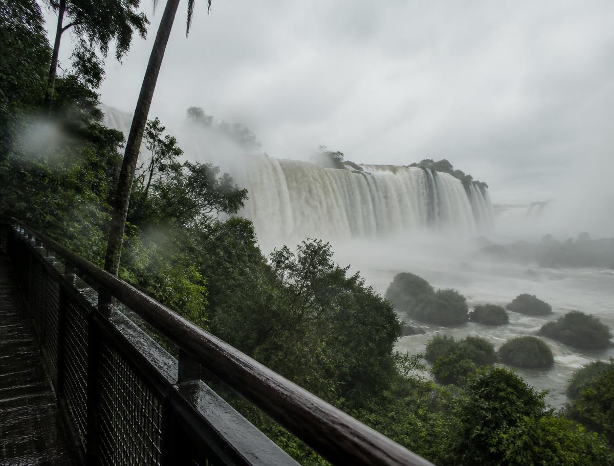 Iguazu Falls surrounded by dense subtropical rainforest and mist in Argentina