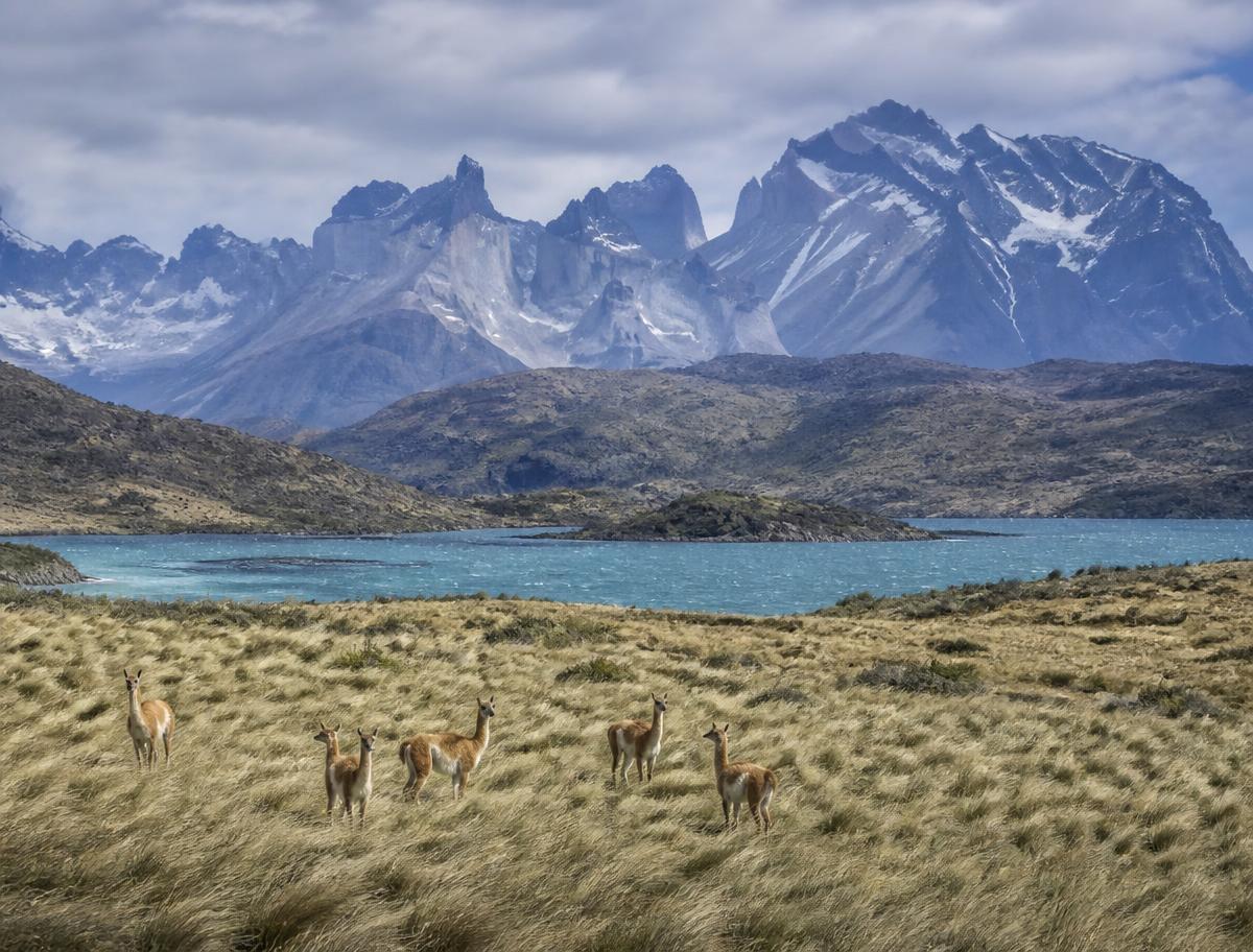 Snow-capped Andean peaks rising above the Patagonian steppe at dawn